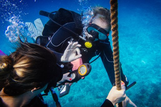 Cursos de buceo PADI