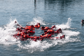 Formación Profesional