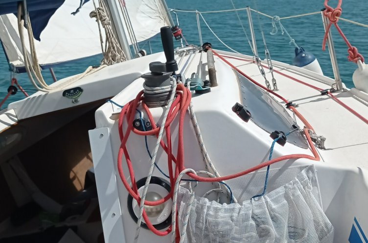 Serviola 23 Serviolq