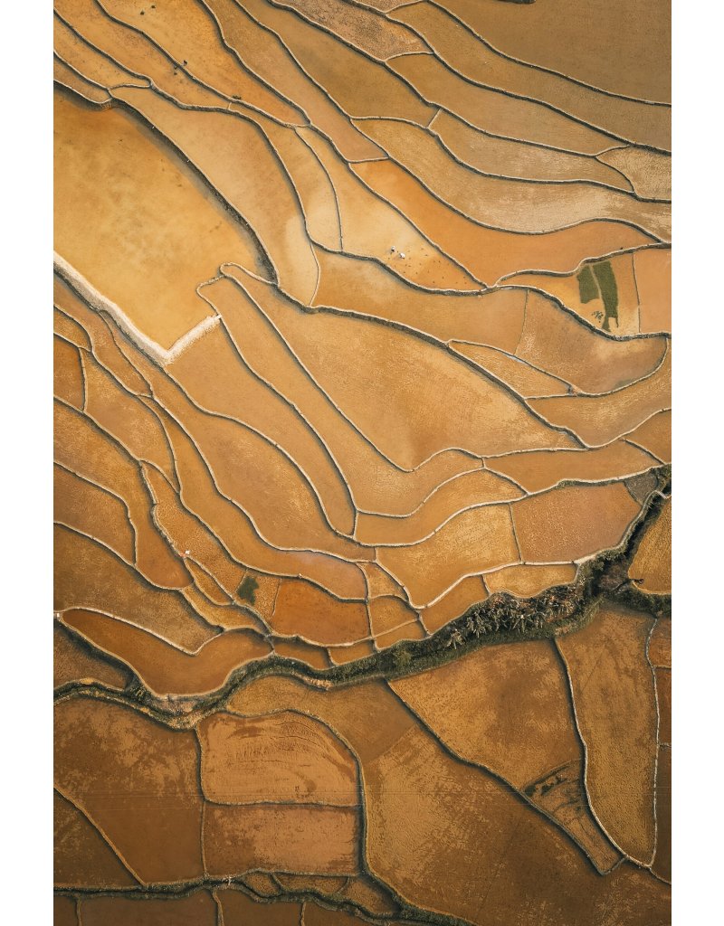 kevin-charit-1fL2Q1JcbNc-unsplash